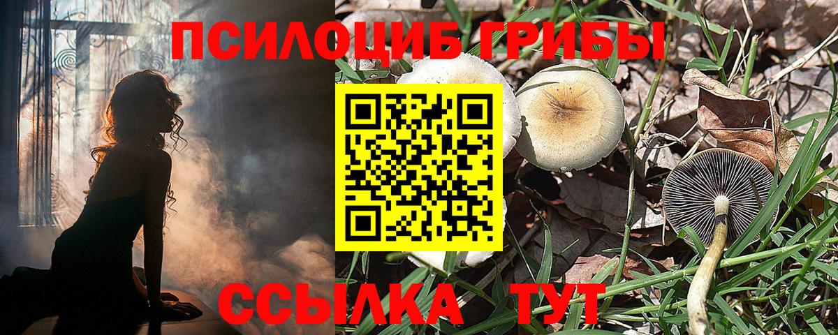 Псилоцибиновые грибы прущие грибы Ижевск
